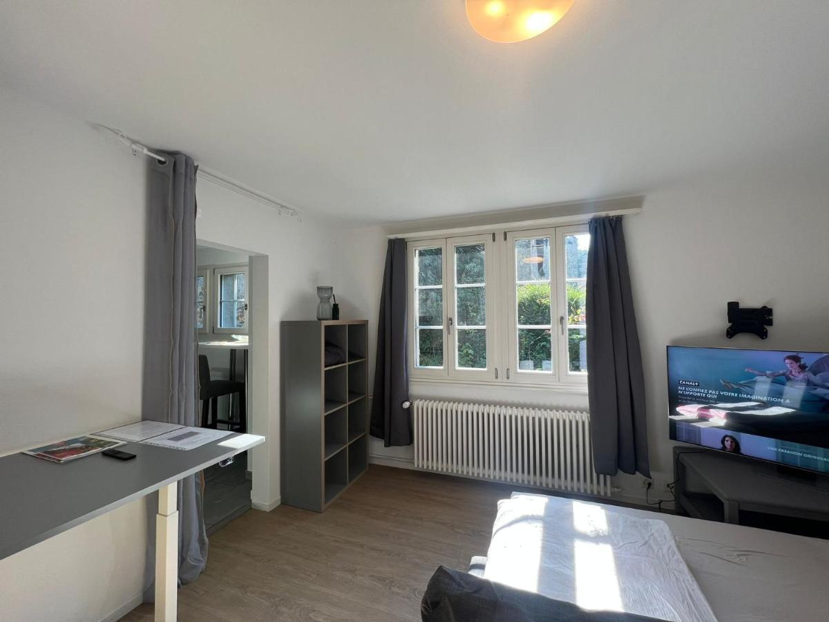 House On Historic City Wall - Freihofapartments Brugg  Bagian luar foto